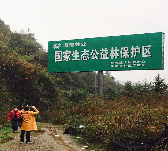 鹤城区林业局加大生态公益林管护宣传碑(牌)建设力度